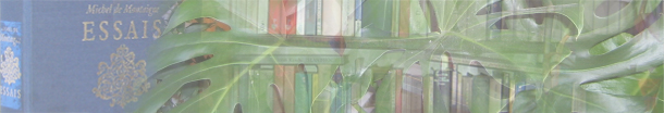 Montaigne, die Essais (3)