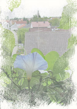 Wir haben die Fenster ge�ffnet und werden sie nicht wieder schlie�en. Goethe