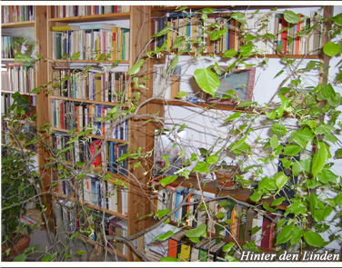 Bild - Hinter den Linden - vergr��ern